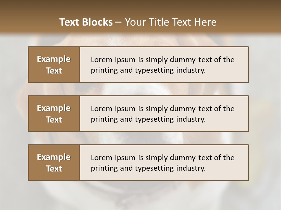 Retired Older Sunrise PowerPoint Template