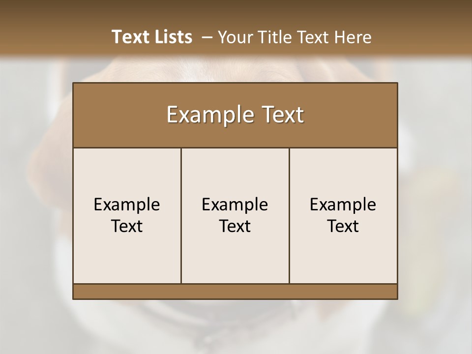 Retired Older Sunrise PowerPoint Template
