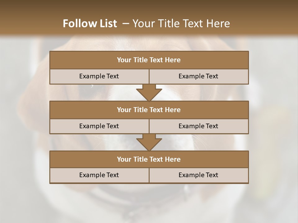 Retired Older Sunrise PowerPoint Template