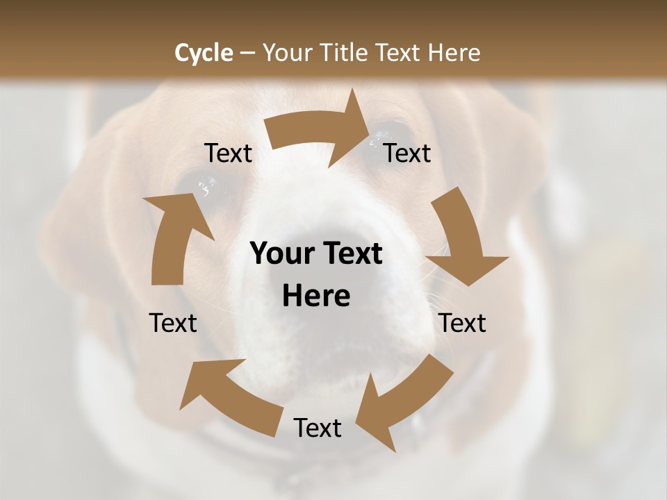 Retired Older Sunrise PowerPoint Template