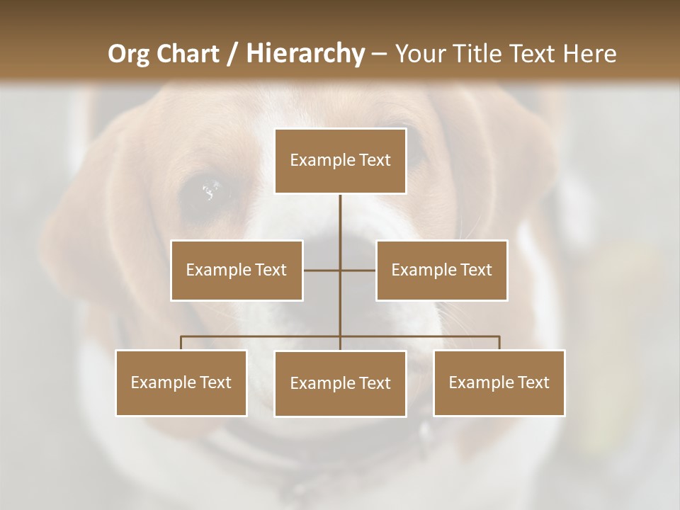 Retired Older Sunrise PowerPoint Template