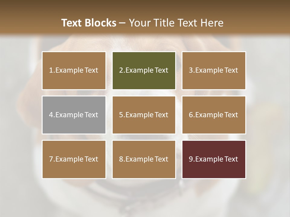 Retired Older Sunrise PowerPoint Template