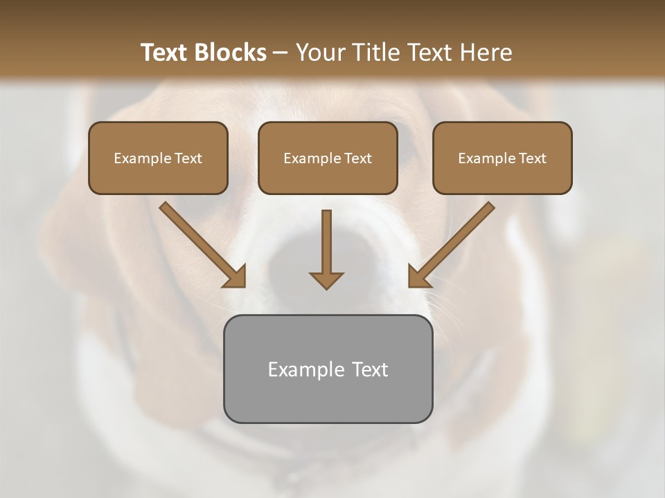 Retired Older Sunrise PowerPoint Template