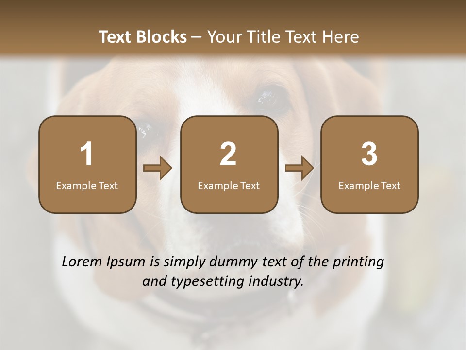 Retired Older Sunrise PowerPoint Template