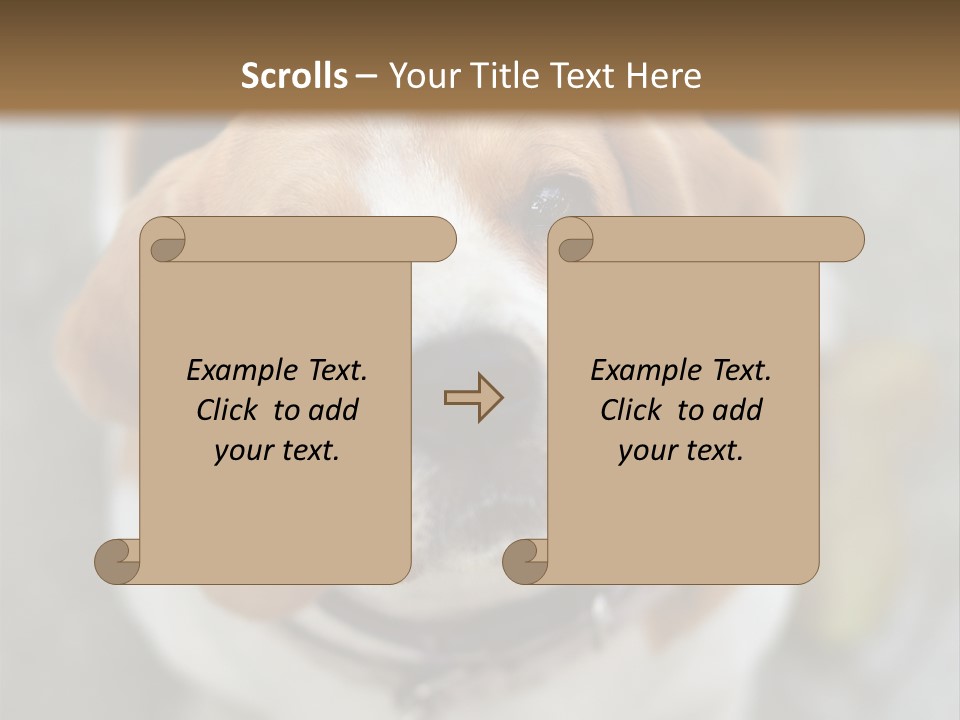 Retired Older Sunrise PowerPoint Template
