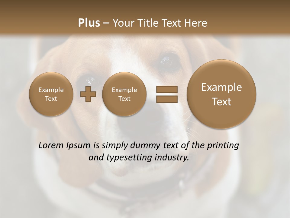 Retired Older Sunrise PowerPoint Template