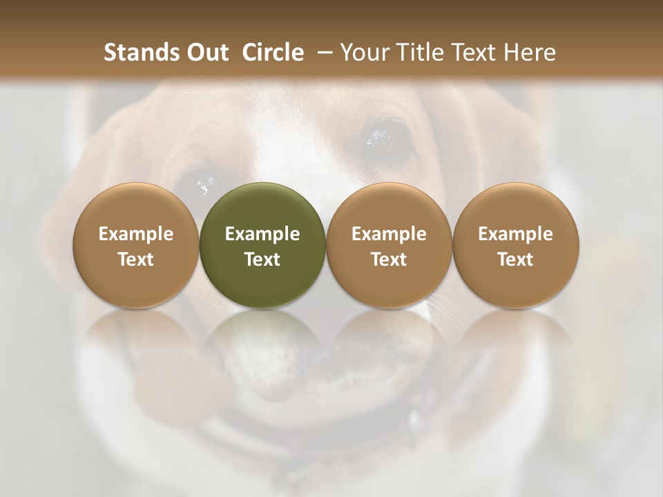 Retired Older Sunrise PowerPoint Template