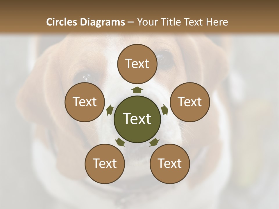 Retired Older Sunrise PowerPoint Template
