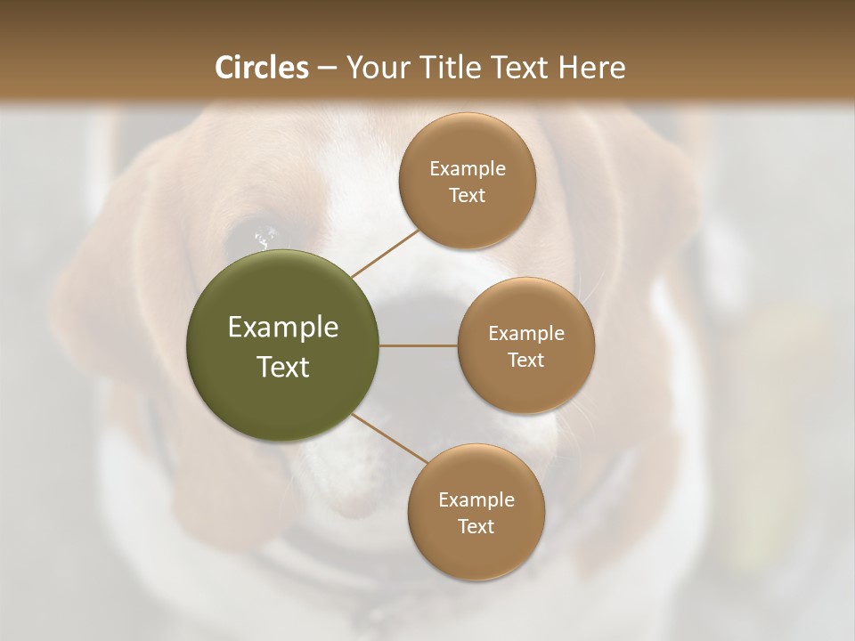 Retired Older Sunrise PowerPoint Template