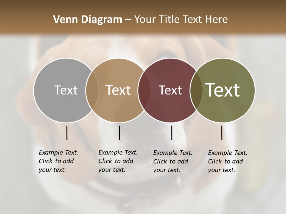 Retired Older Sunrise PowerPoint Template