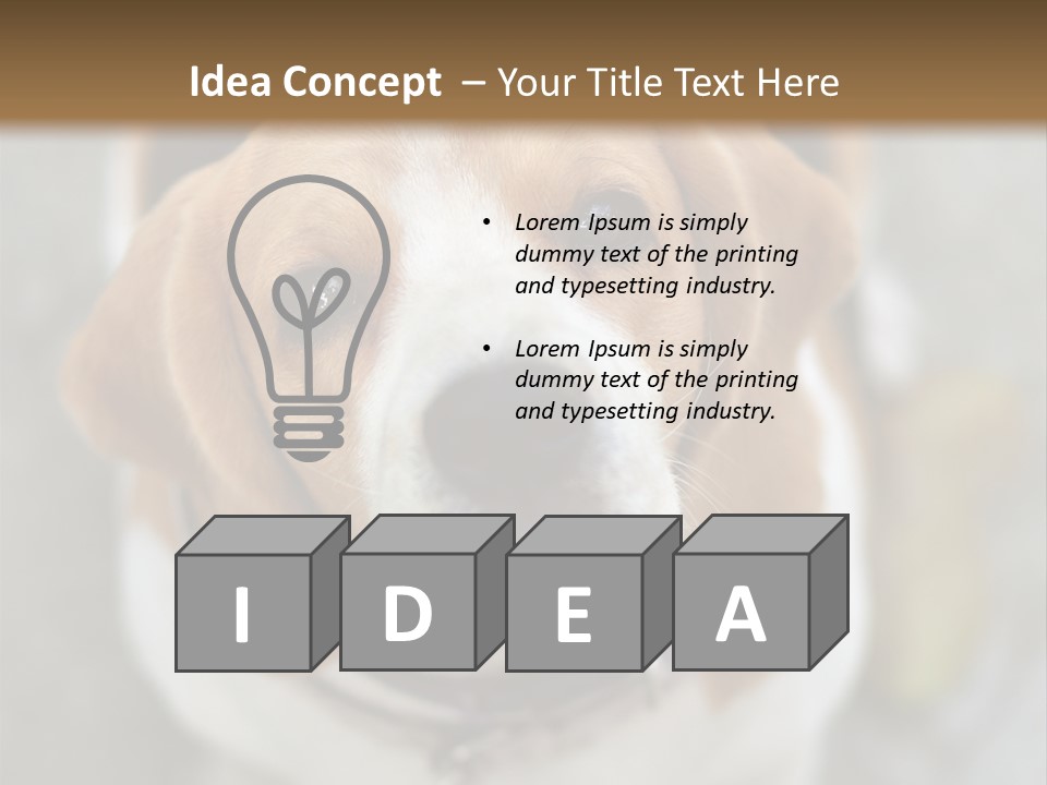 Retired Older Sunrise PowerPoint Template
