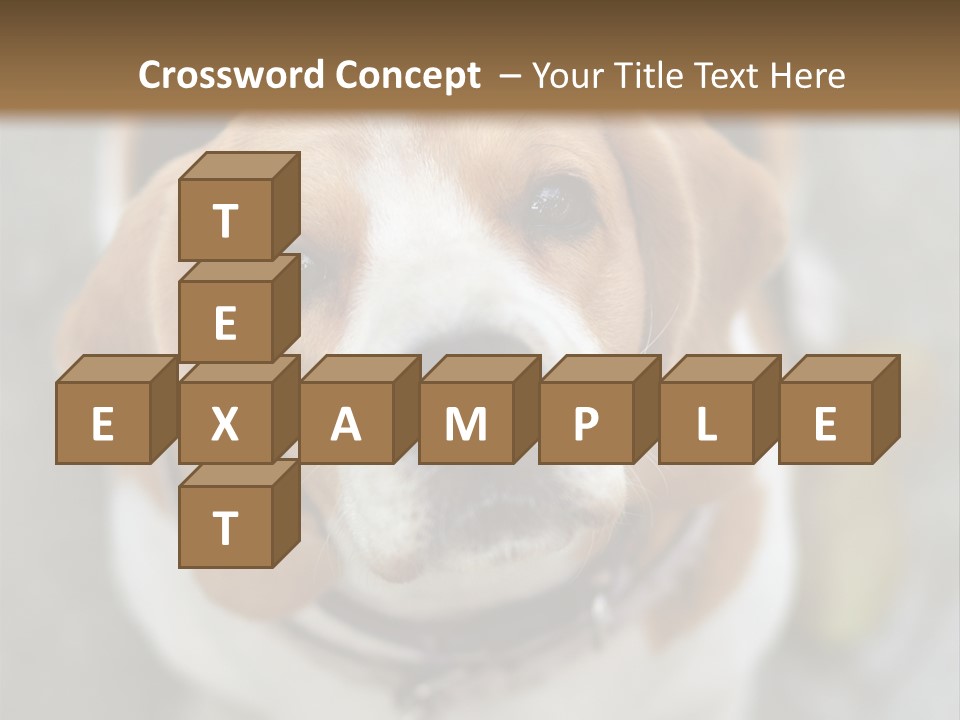 Retired Older Sunrise PowerPoint Template
