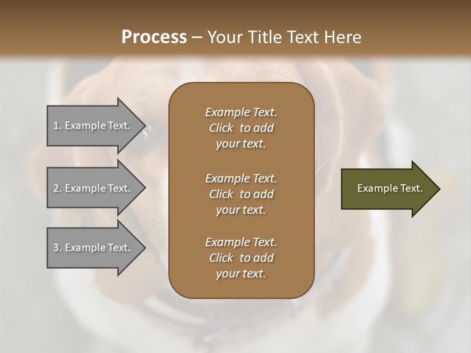 Retired Older Sunrise PowerPoint Template
