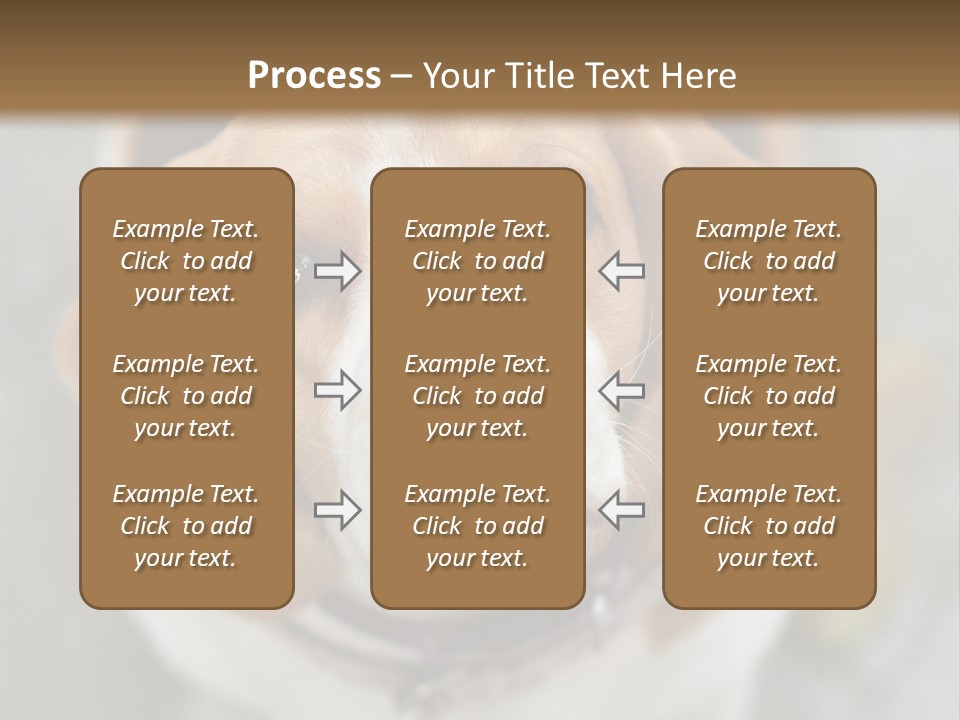 Retired Older Sunrise PowerPoint Template