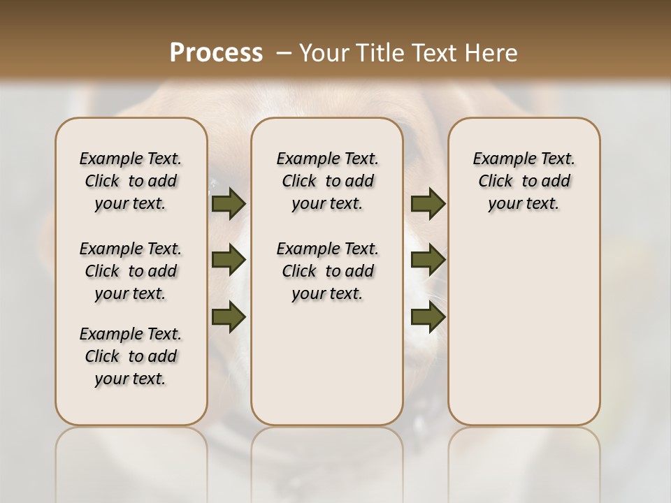 Retired Older Sunrise PowerPoint Template