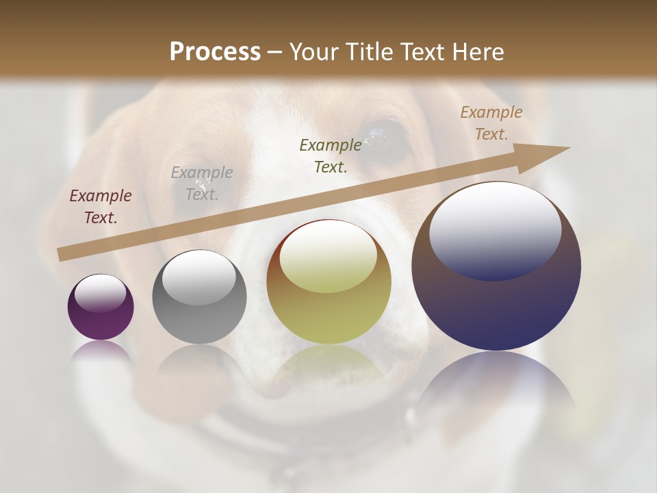 Retired Older Sunrise PowerPoint Template