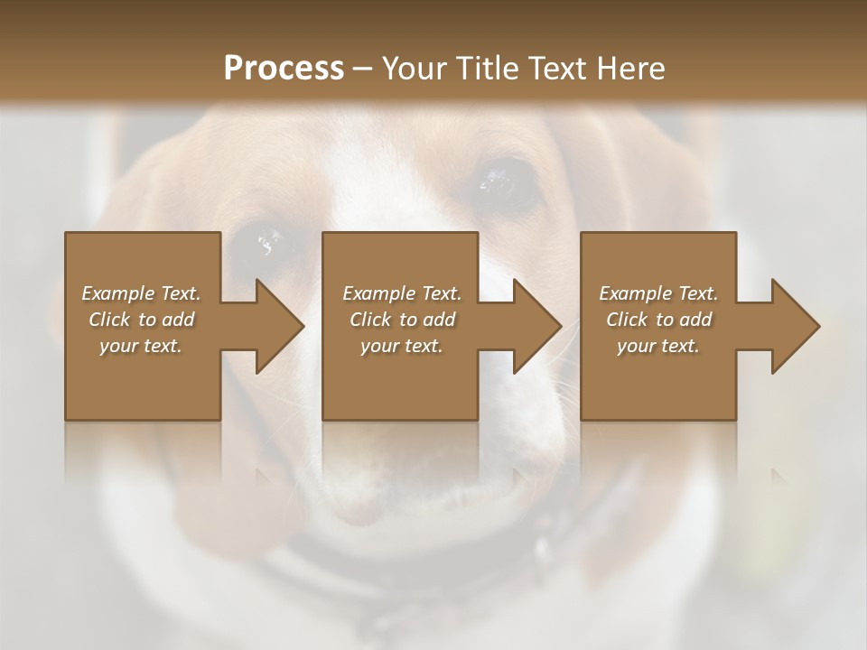 Retired Older Sunrise PowerPoint Template