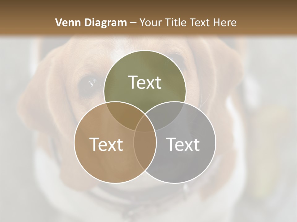 Retired Older Sunrise PowerPoint Template