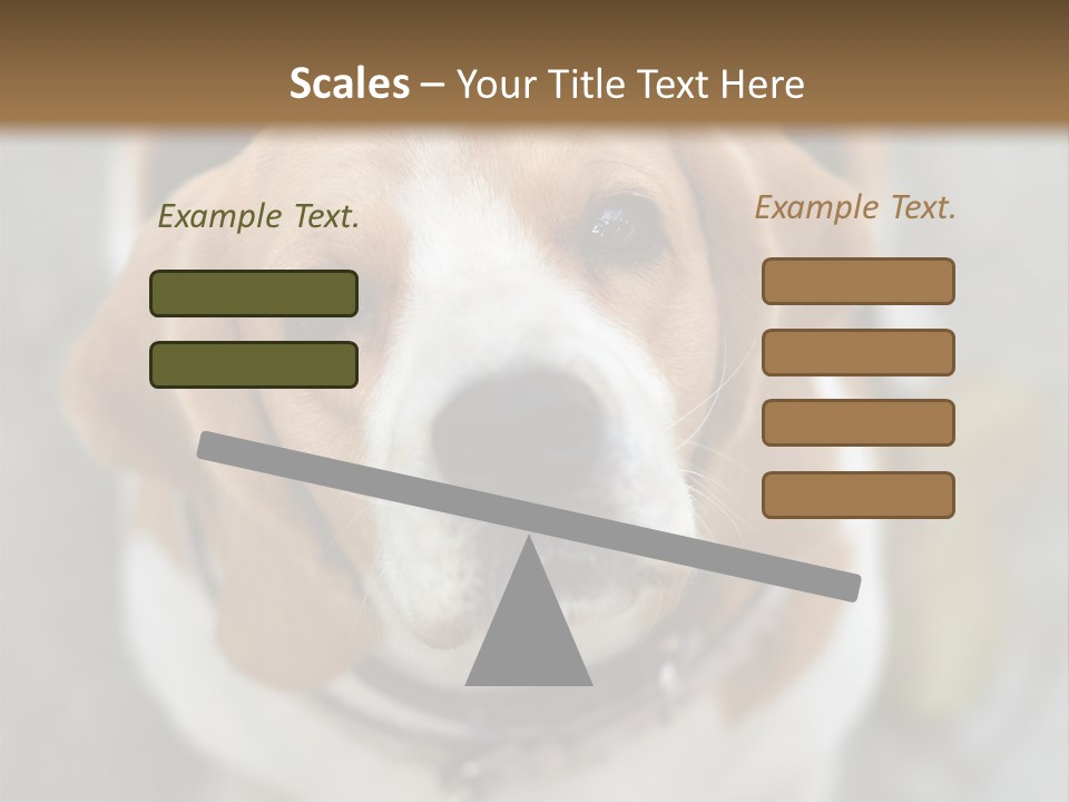 Retired Older Sunrise PowerPoint Template