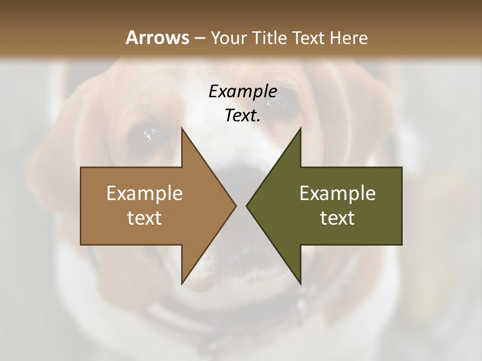 Retired Older Sunrise PowerPoint Template