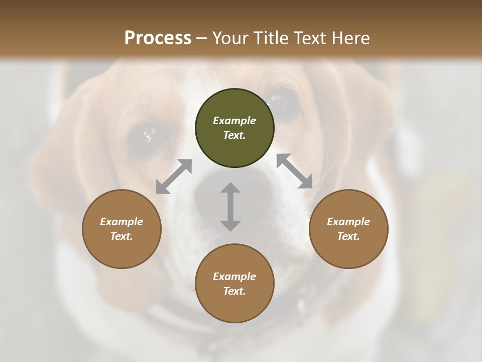 Retired Older Sunrise PowerPoint Template
