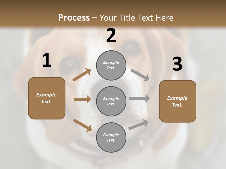Retired Older Sunrise PowerPoint Template