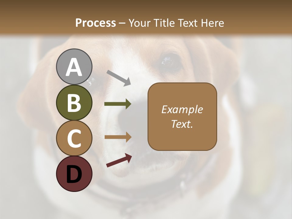 Retired Older Sunrise PowerPoint Template