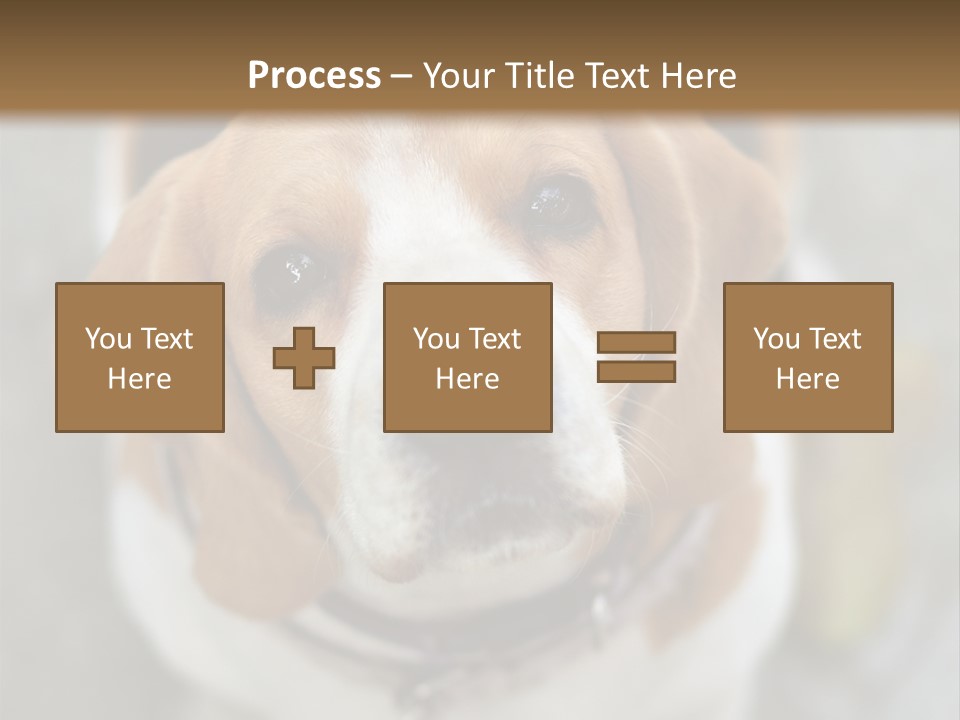 Retired Older Sunrise PowerPoint Template