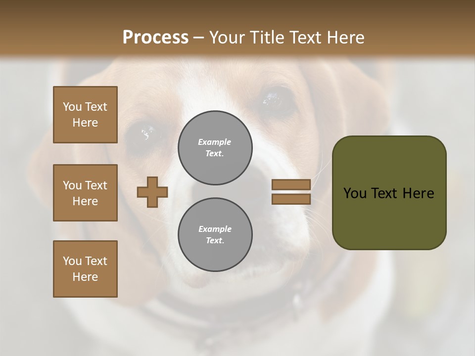 Retired Older Sunrise PowerPoint Template