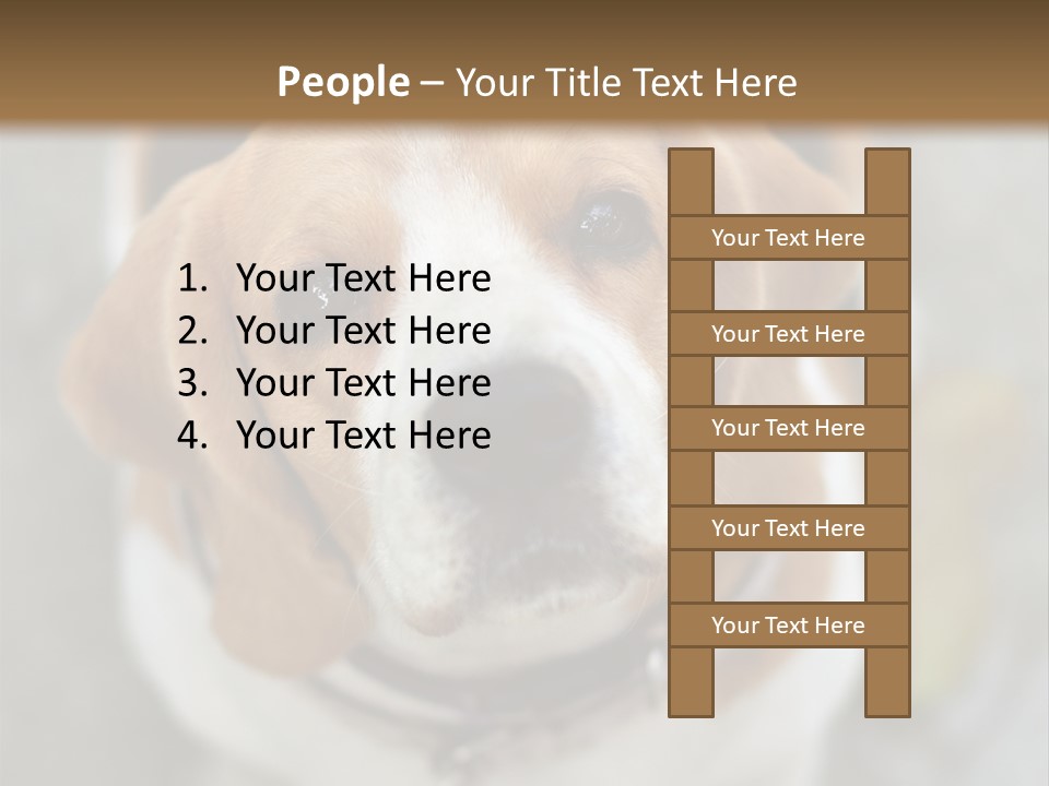 Retired Older Sunrise PowerPoint Template