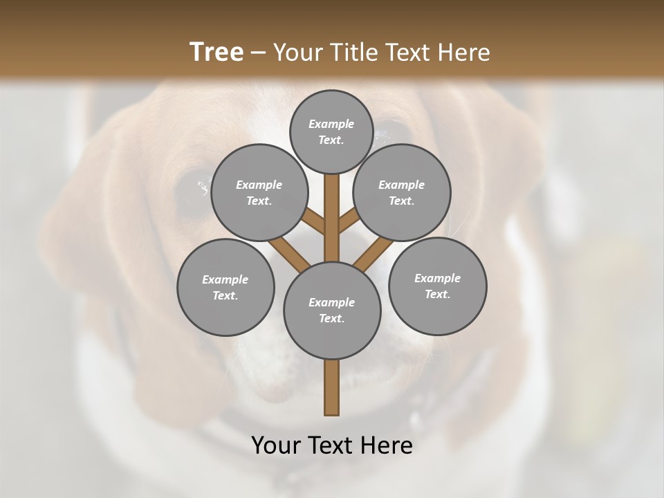 Retired Older Sunrise PowerPoint Template