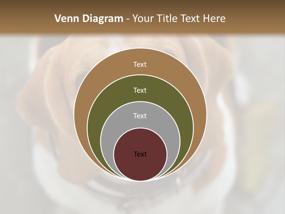 Retired Older Sunrise PowerPoint Template