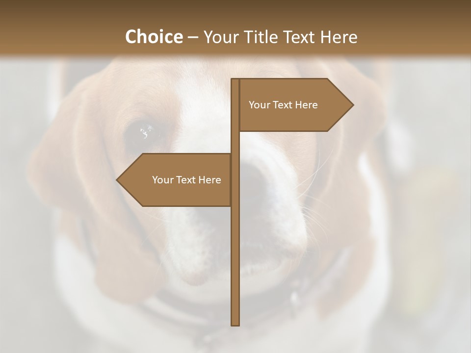 Retired Older Sunrise PowerPoint Template