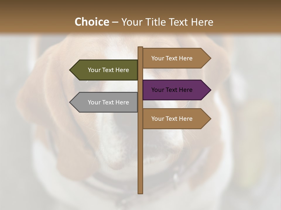 Retired Older Sunrise PowerPoint Template