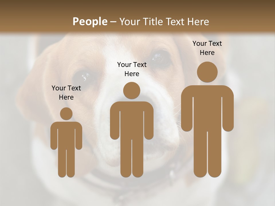 Retired Older Sunrise PowerPoint Template