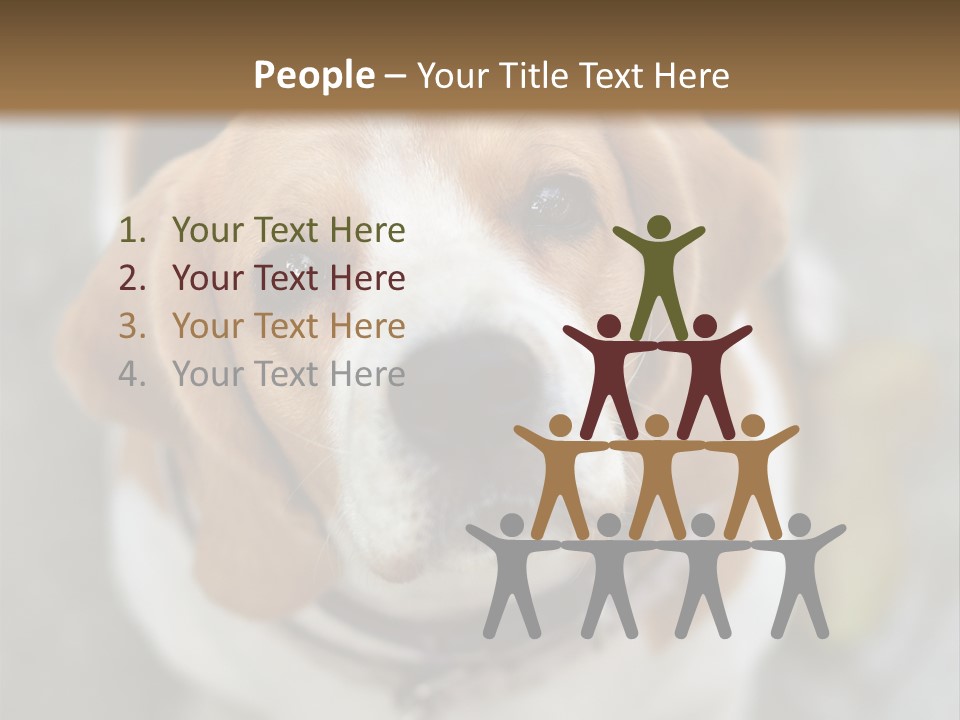 Retired Older Sunrise PowerPoint Template