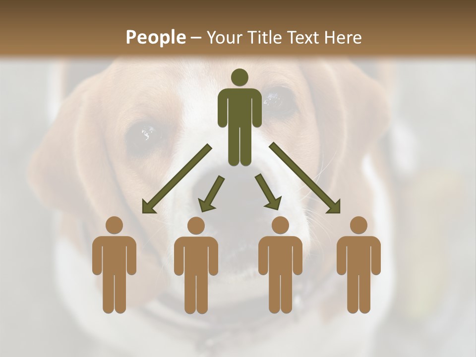 Retired Older Sunrise PowerPoint Template