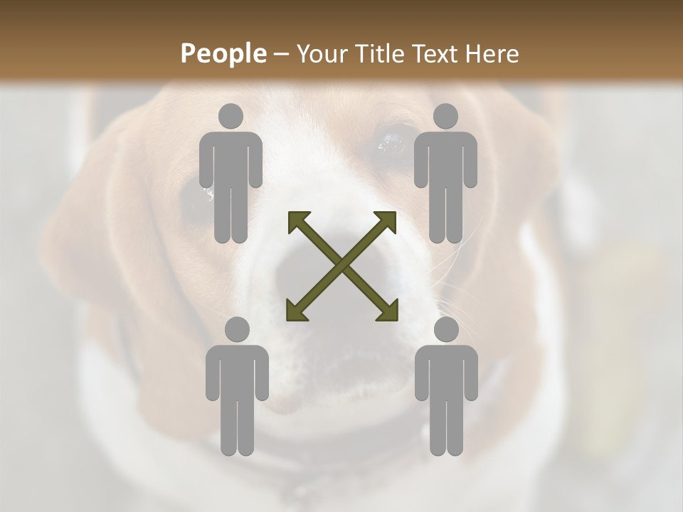 Retired Older Sunrise PowerPoint Template