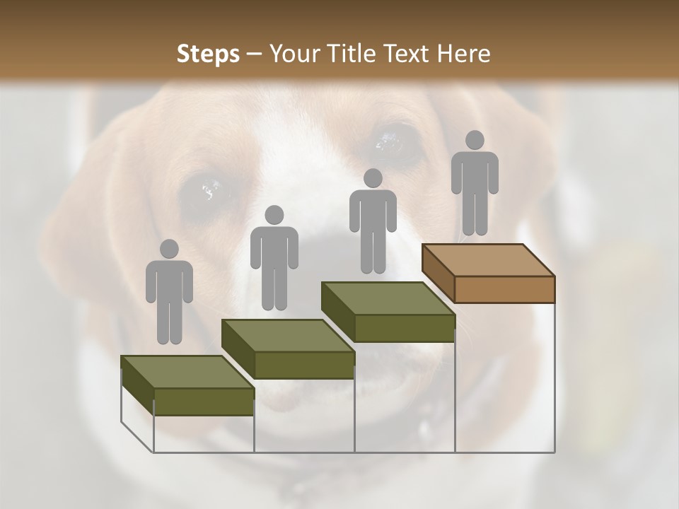 Retired Older Sunrise PowerPoint Template