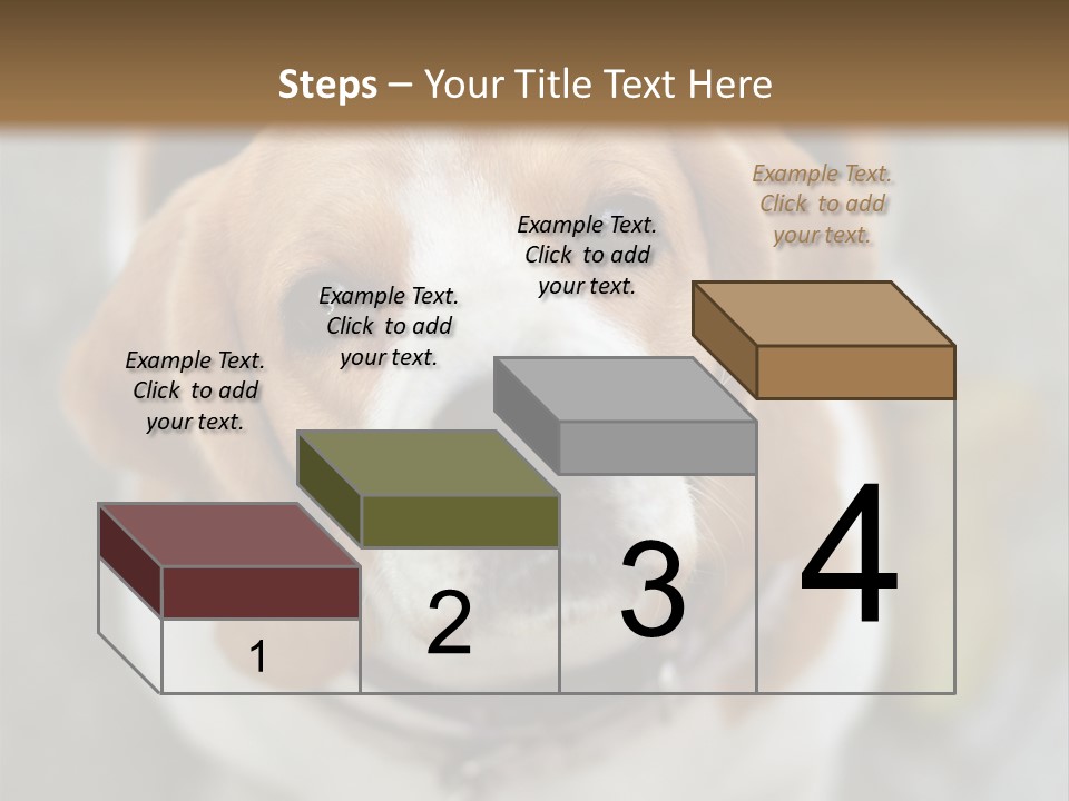 Retired Older Sunrise PowerPoint Template
