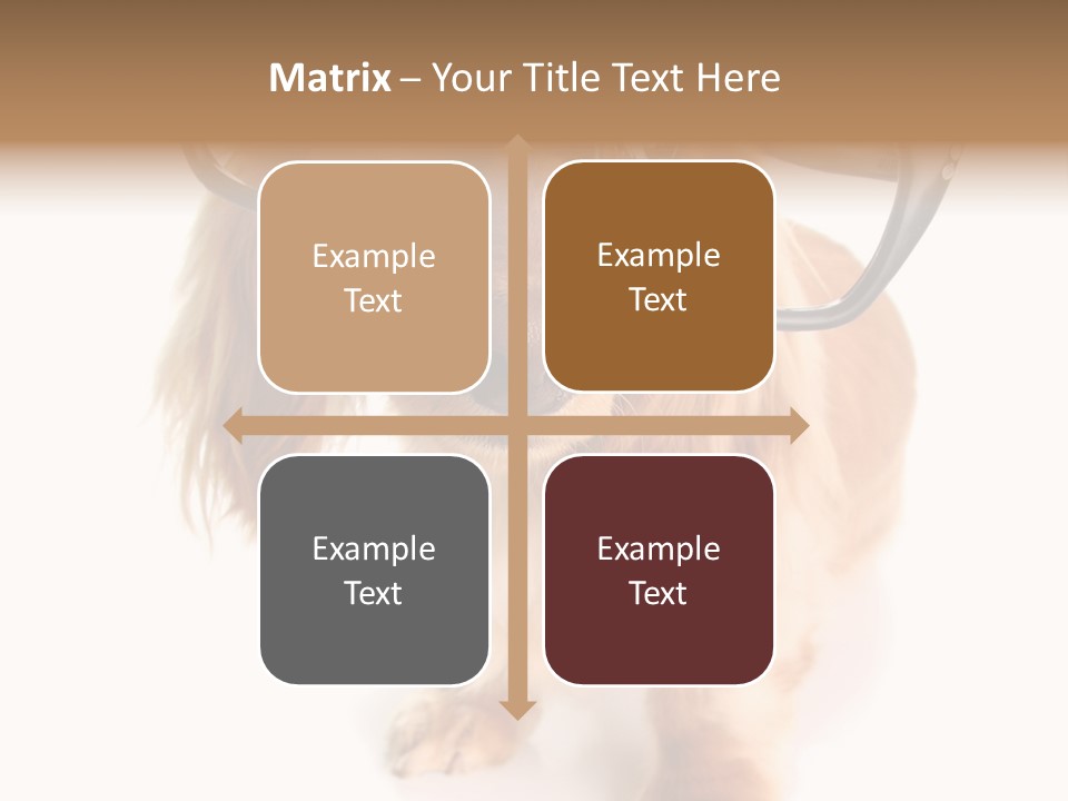 Coast Peaceful Portrait PowerPoint Template