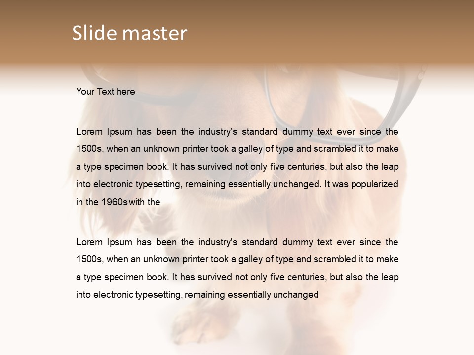 Coast Peaceful Portrait PowerPoint Template