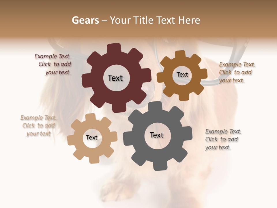 Coast Peaceful Portrait PowerPoint Template