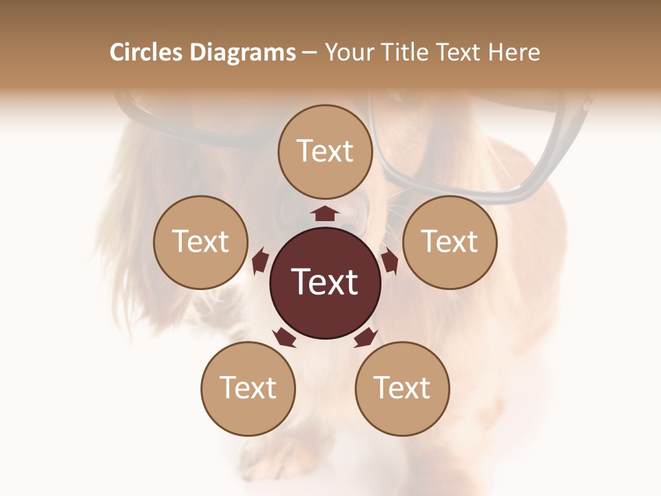 Coast Peaceful Portrait PowerPoint Template