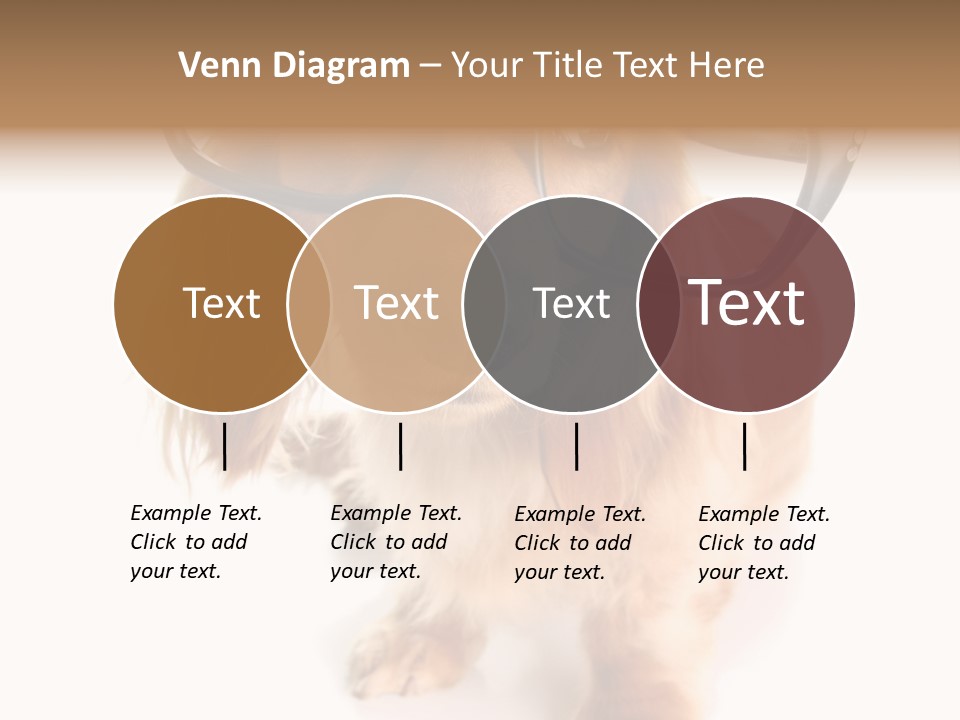 Coast Peaceful Portrait PowerPoint Template