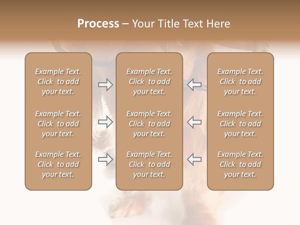 Coast Peaceful Portrait PowerPoint Template