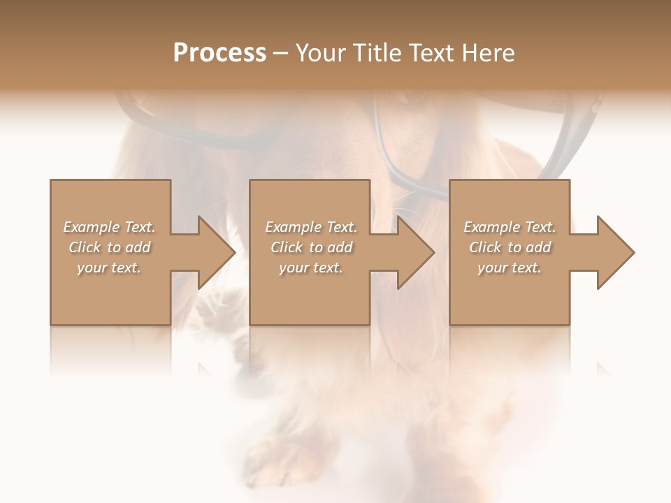 Coast Peaceful Portrait PowerPoint Template