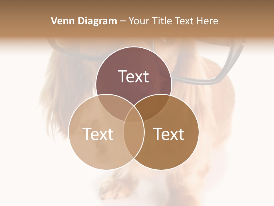 Coast Peaceful Portrait PowerPoint Template