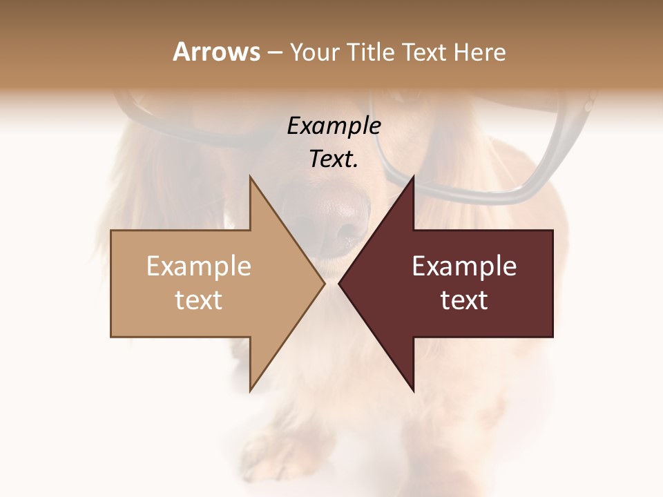 Coast Peaceful Portrait PowerPoint Template