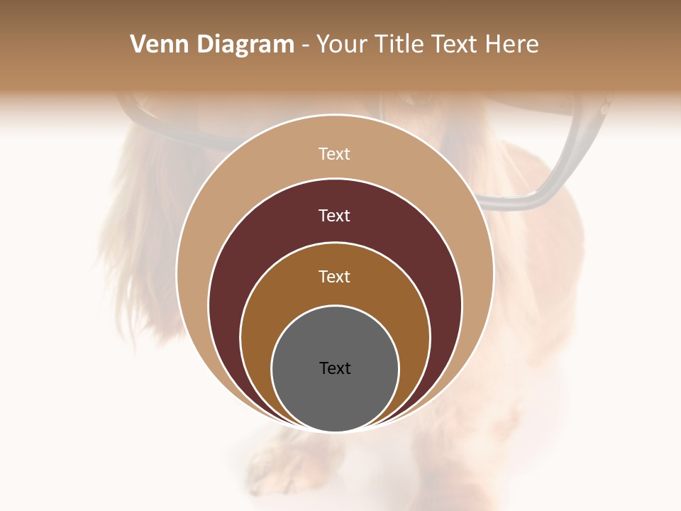 Coast Peaceful Portrait PowerPoint Template